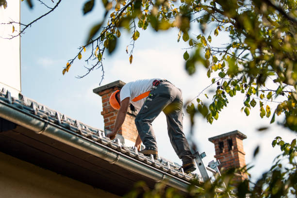 Best Flat Roofing  in Hemlock, MI