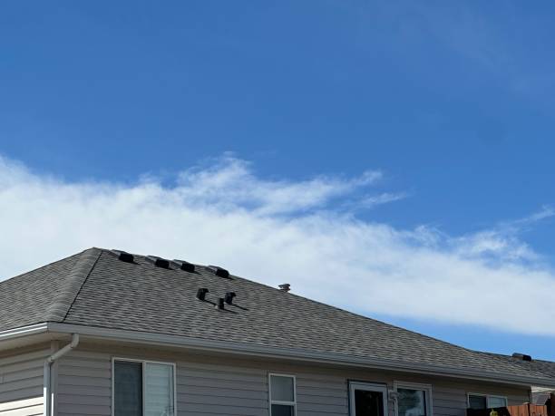 Best 4 Ply Roofing  in Hemlock, MI